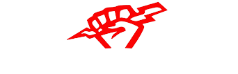 McCauley Electric Ltd